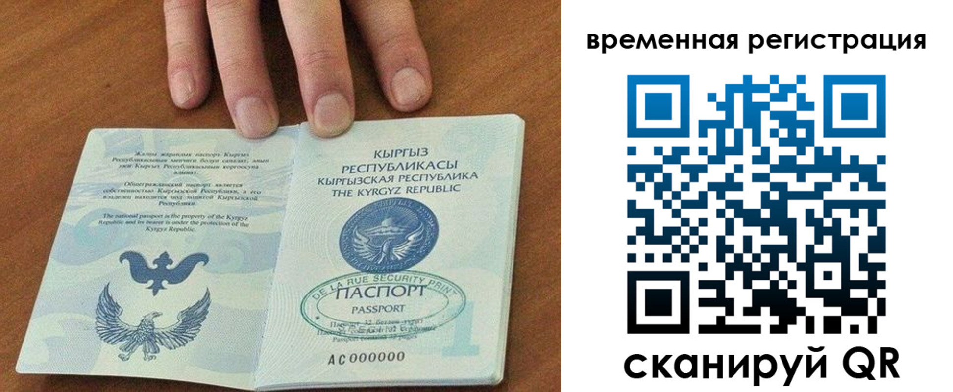 прописка регистрация в Димитровграде